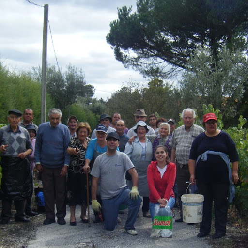 Idosos do Centro Social e Paroquial de São João de Areias vivem época
das vindimas