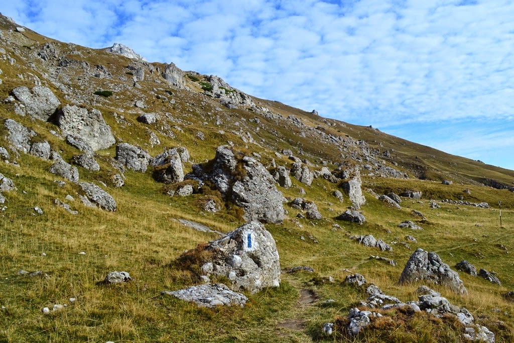 [DSC_39083.jpg]