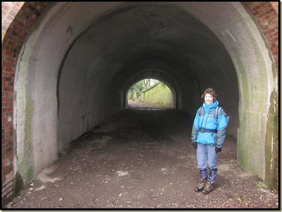 Shropshire Union Canal underpass by Newton