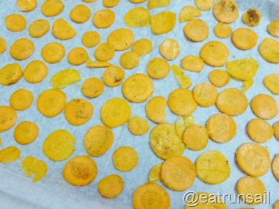 Feb 8 Carrot Chips 004