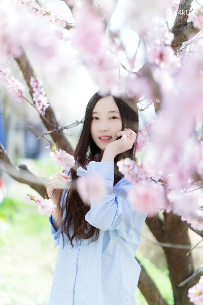 Bambi (밤비) Lacerta Photography