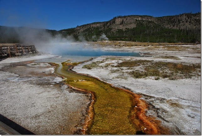 08-11-14 A Yellowstone National Park (240)