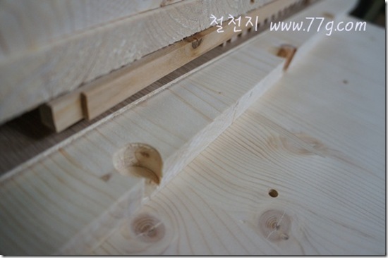 철천지DSC01743-20120116-152622