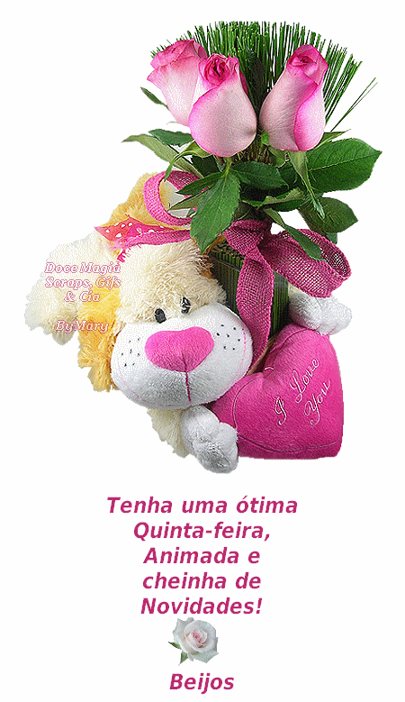 0quintanovidade.png