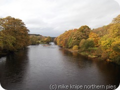 river tees autumn 2011