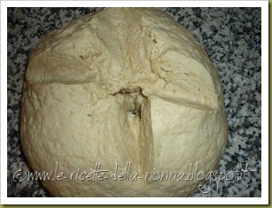 Caserecce di pasta madre con farina bianca e farina d'orzo (4)