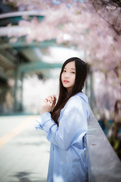Bambi (밤비) Lacerta Photography