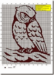 owl 6