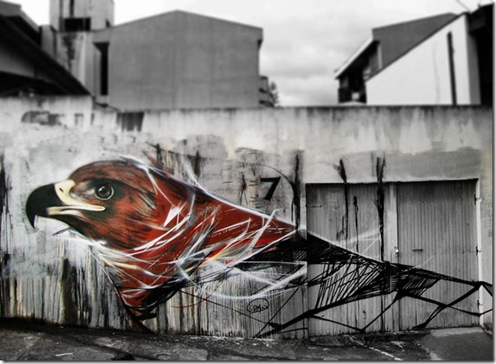graffiti-birds-street-art-L7m-7