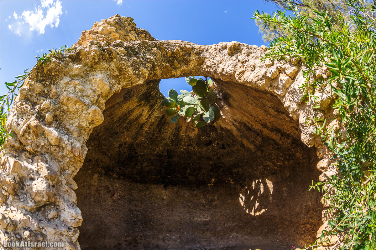 Анемоны (каланиет) пустыни Негев - Фестиваль Даром Адом в LookAtIsrael.com - Фото путешествия по Израилю | Red South festival of anemones in Negev | דרום אדום - קלניות בבארי