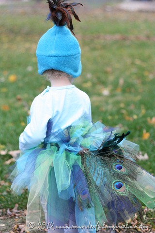 DIY Peacock Costume. | {So Wonderful, So Marvelous}