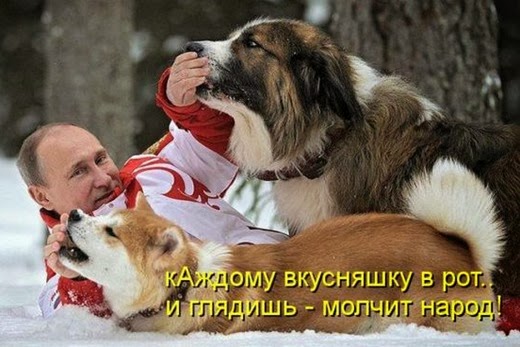 [bad5f7ca46773cb9e75b6e1cdfc_prev%255B3%255D.jpg]