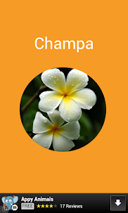 How to get Flowers Preschool Toddler Lite 1.2 apk for pc