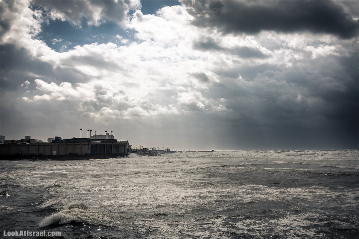 LookAtIsrael.com - Прогулка по дождливому Тель Авиву | Rain in Tel Aviv