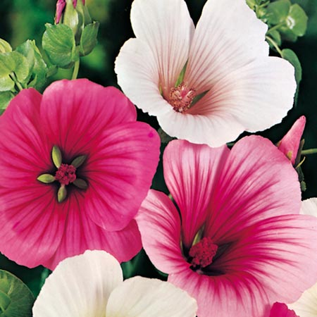 [image%255B153%255D.png]