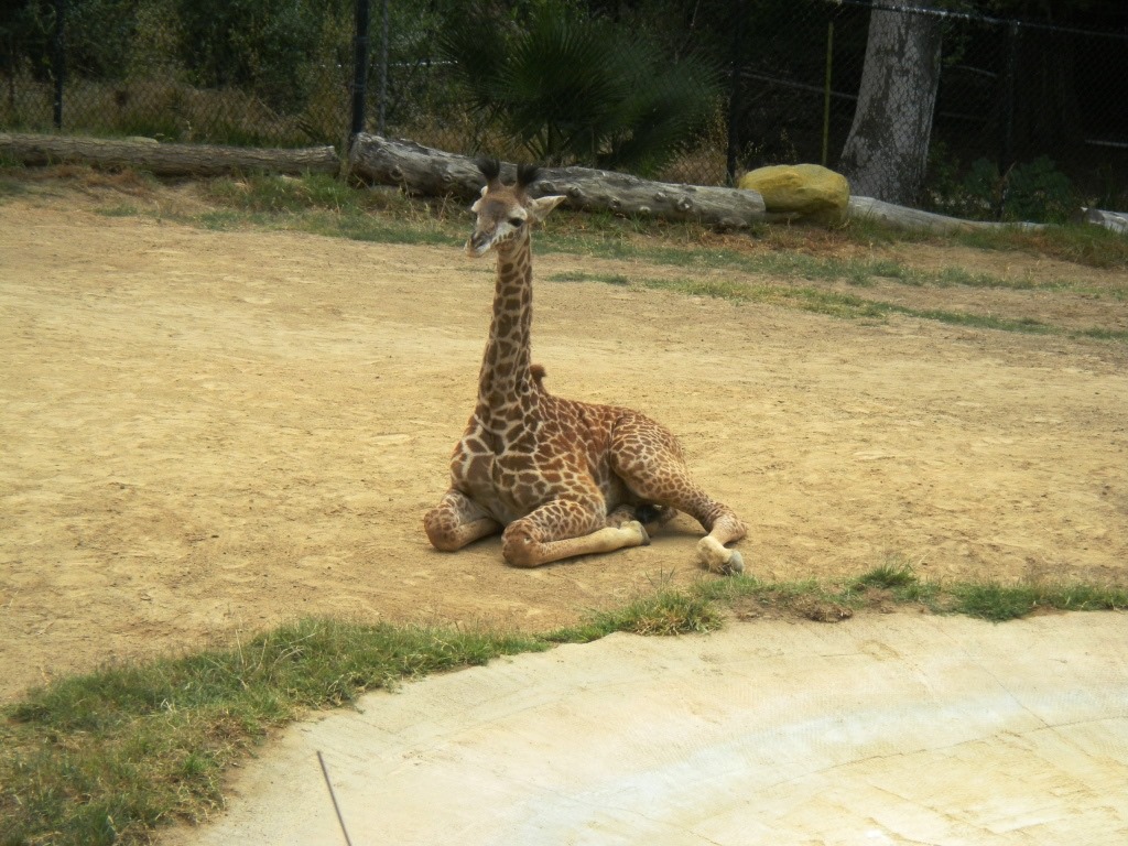 [DSCN5527%2520-%2520Kopie%255B4%255D.jpg]