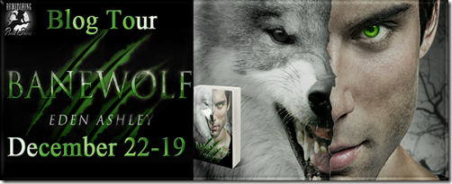 Banewolf Banner 851 x 315_thumb[1]