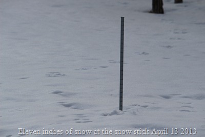 Eleven inches of snow April 13 at 6 PM