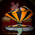 IMG_7959.JPG