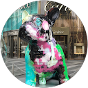 BDSLPTV 2K19s profile picture