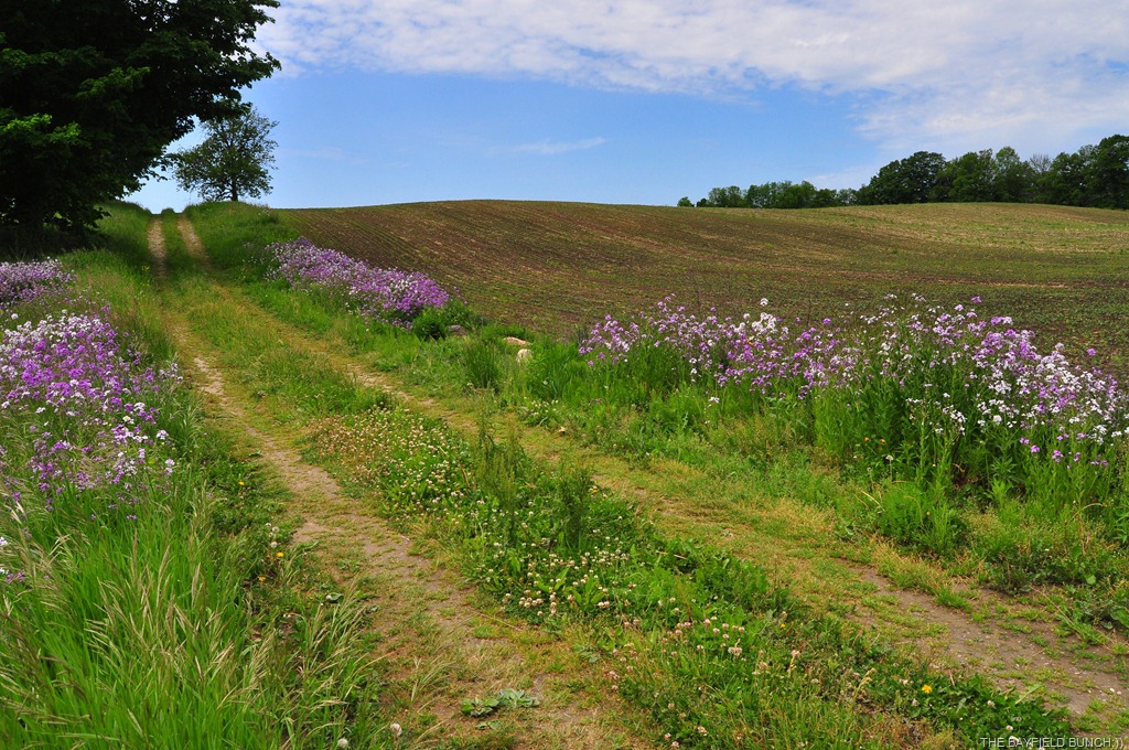 [DSC_0020-001%255B4%255D.jpg]