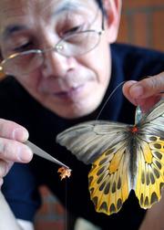 Picasa Web Albums - sunny Lin