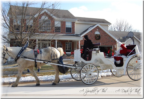 Santa and his Sleigh {A Sprinkle of This . . . . A Dash of That}