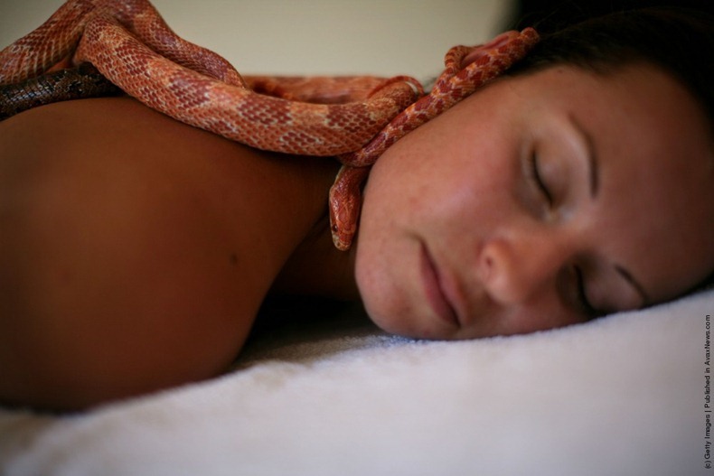 snake-massage4