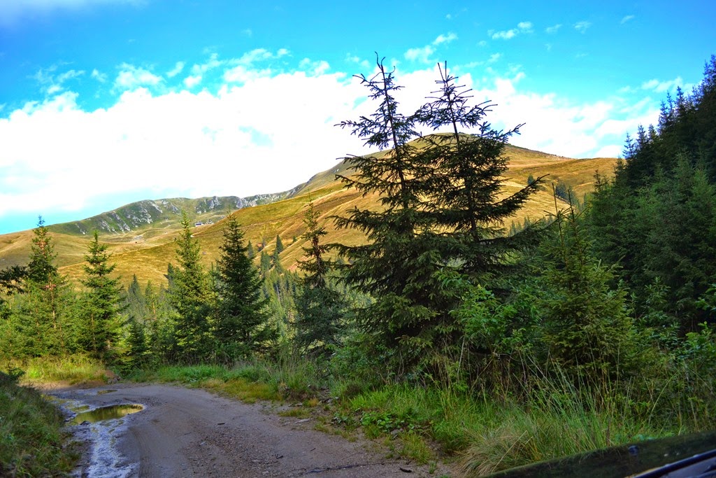 [DSC_47293.jpg]