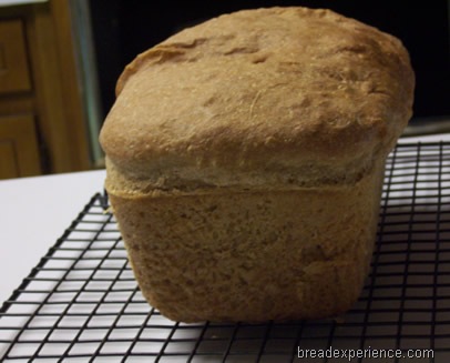 [sprouted-wheat-bread%2520038%255B2%255D.jpg]
