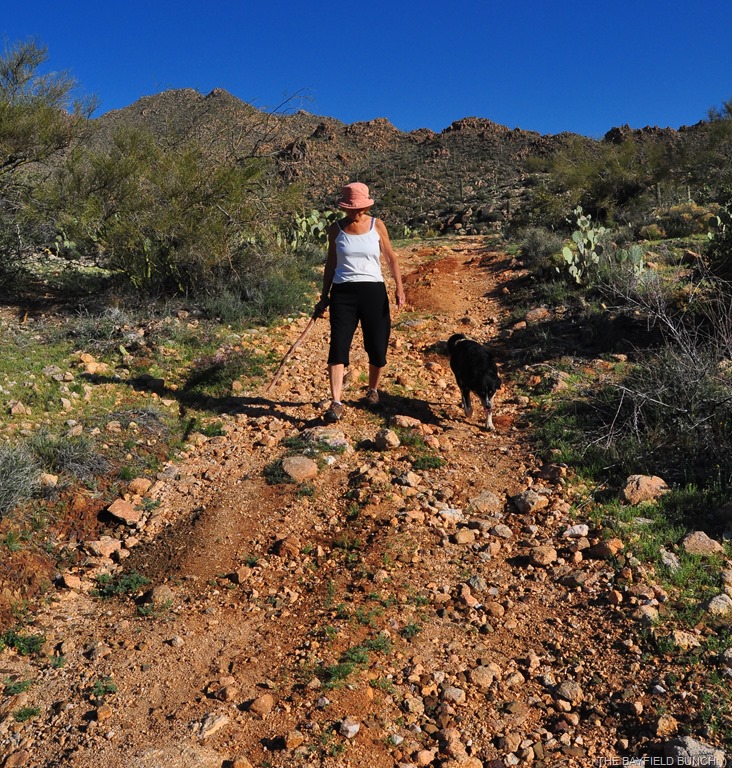 [DSC_0054%255B3%255D.jpg]