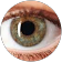 JAY PYXL