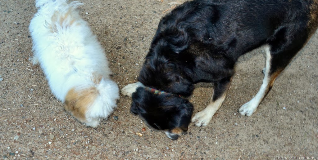 [DSC_0020%255B13%255D.jpg]