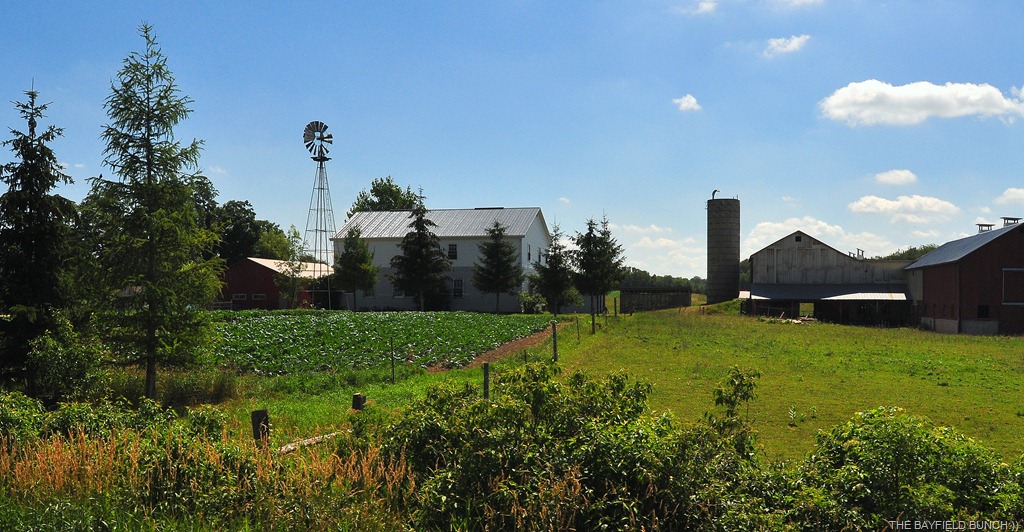 [DSC_0028%255B3%255D.jpg]