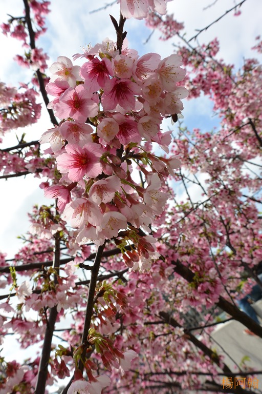 [0202%2520001%2520-%2520%2520g%25C2%259D%25C2%25AA%25C3%259E%25C3%25BBeS%255B4%255D.jpg]