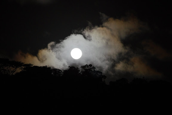 Lever de la lune devant les Carbets de Coralie (Crique Yaoni), 30 octobre 2012. Photo : J.-M. Gayman