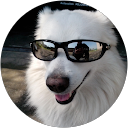 jan hronovský profile picture