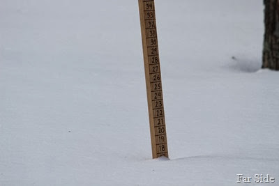 17  1half Inches at the snowstick March 4 2014