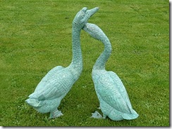 baitlaws ornamental geese