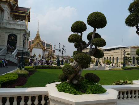 Copacei ornamentali in fata Marelui Palat Bangkok