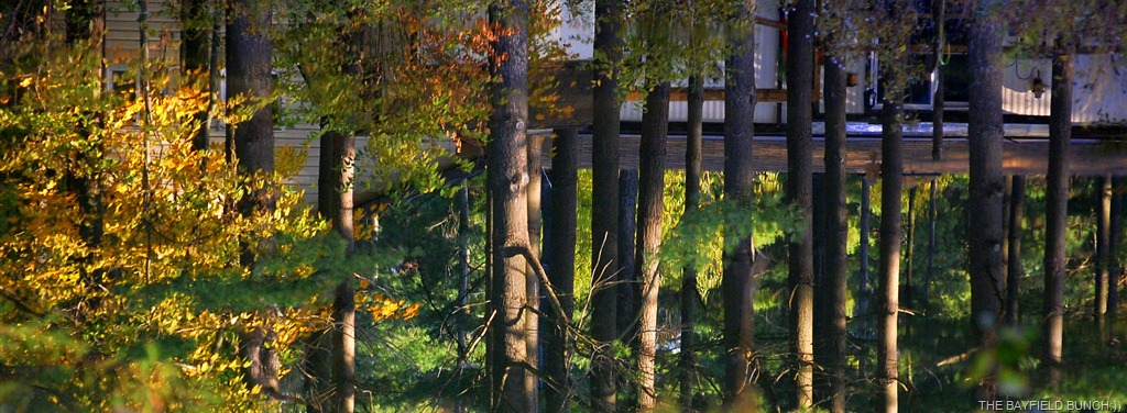 [DSC_4654%255B5%255D.jpg]