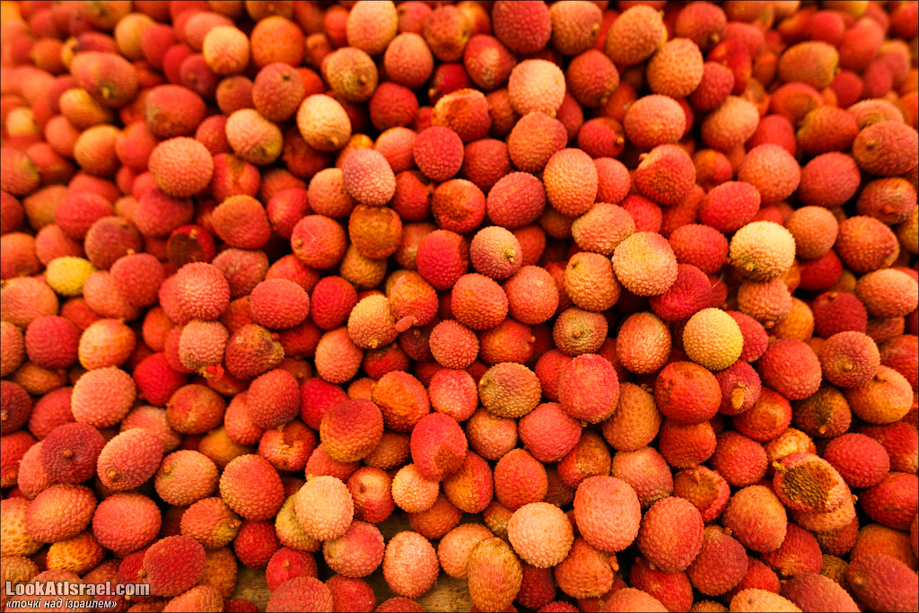 Серия рассказов о городах Израиля «Точки над i» - Рамле 