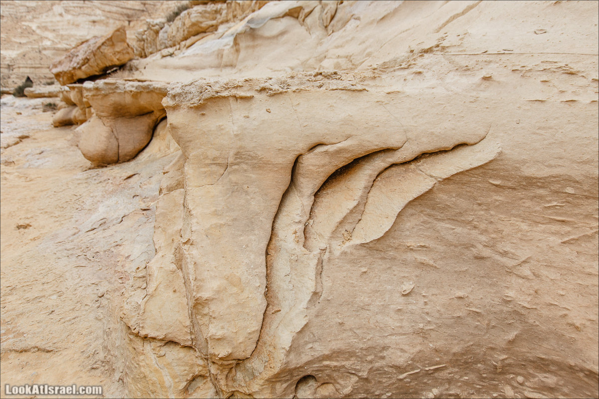 Ручей Акев и источник Эйн Акев в пустыне Негев. LookAtIsrael.com - Фото путешествия по Израилю