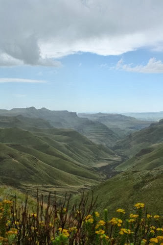 20100302 (1) (Large)