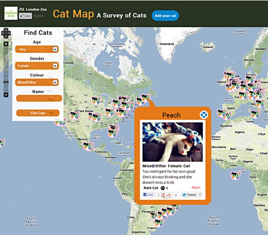 Rede Social Cat Map2
