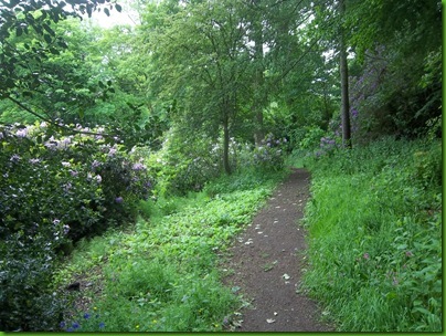 022  The woodland walk