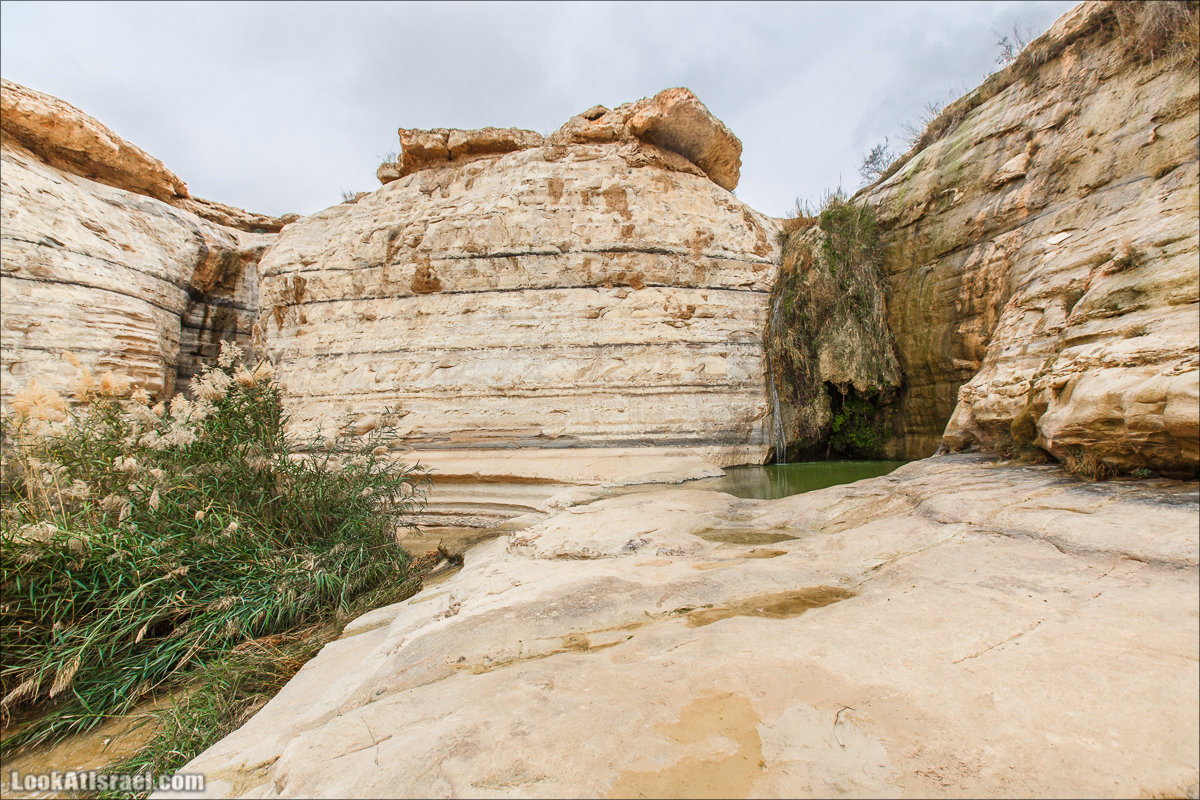 Ручей Акев и источник Эйн Акев в пустыне Негев. LookAtIsrael.com - Фото путешествия по Израилю