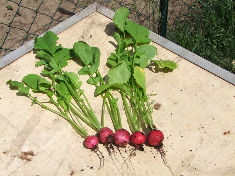 [DSCF3153_re%255B2%255D.jpg]