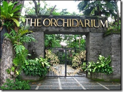 the orchidarium in luneta park manila