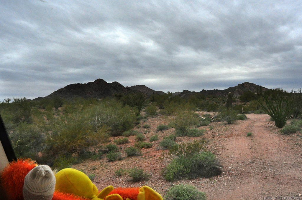 [DSC_0034%255B6%255D.jpg]